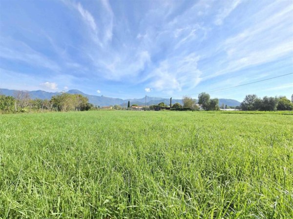 terreno agricolo in vendita a Camaiore in zona Capezzano Pianore