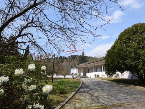 casa indipendente in vendita a Camaiore