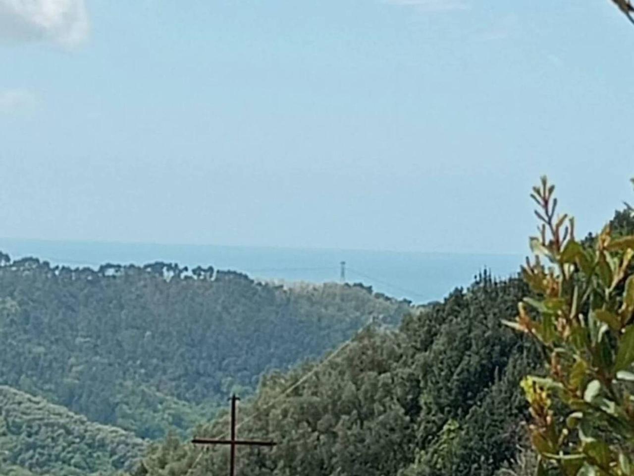 casa indipendente in vendita a Camaiore