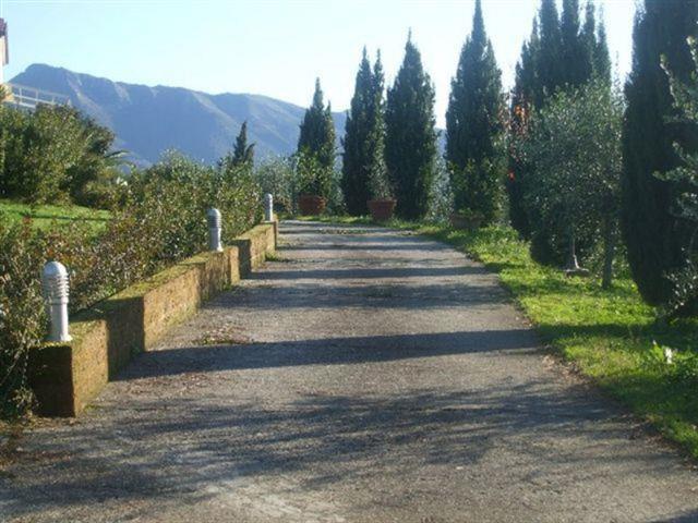casa indipendente in vendita a Camaiore in zona Monteggiori