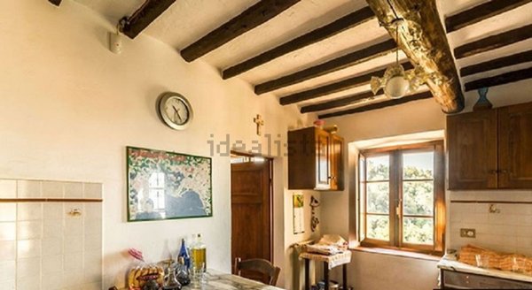 casale in vendita a Camaiore in zona Monteggiori
