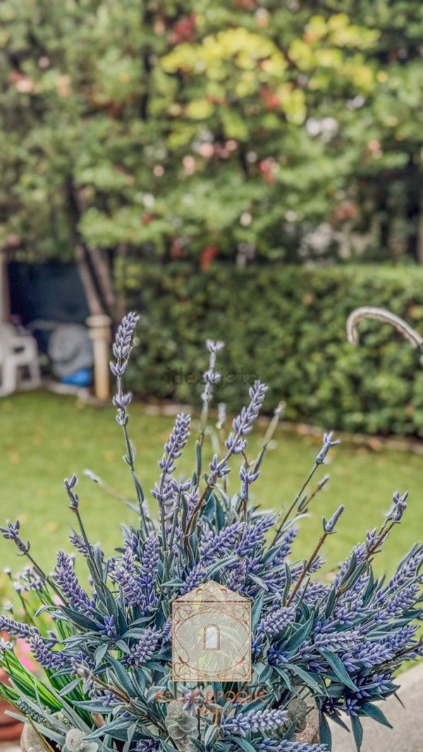 appartamento in vendita a Camaiore in zona Lido di Camaiore