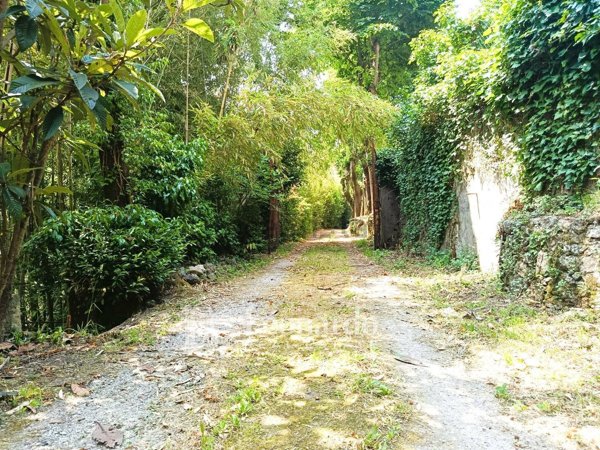 casa indipendente in vendita a Camaiore