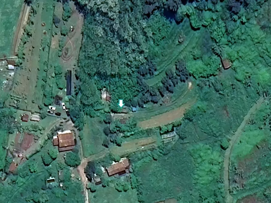 negozio in vendita a Camaiore