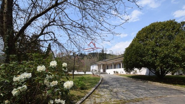 casa indipendente in vendita a Camaiore
