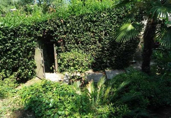 casa indipendente in vendita a Camaiore