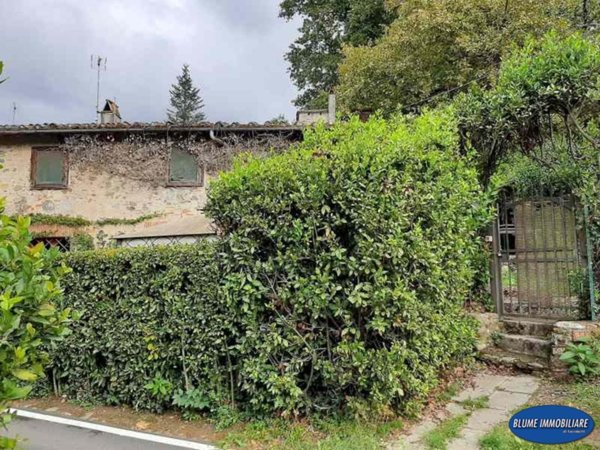 casale in vendita a Camaiore