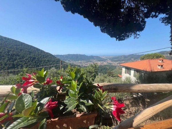 intera palazzina in vendita a Camaiore in zona Metato