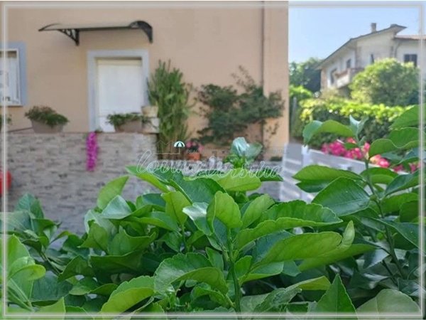 casa indipendente in vendita a Camaiore in zona Pontemazzori