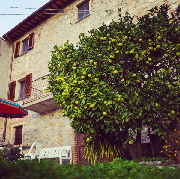 casa indipendente in vendita a Camaiore