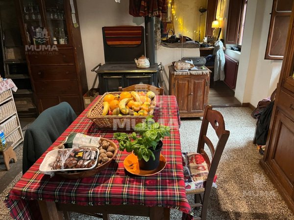 casa indipendente in vendita a Camaiore in zona Casoli