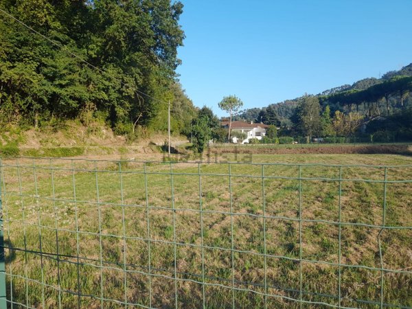 terreno agricolo in vendita a Camaiore