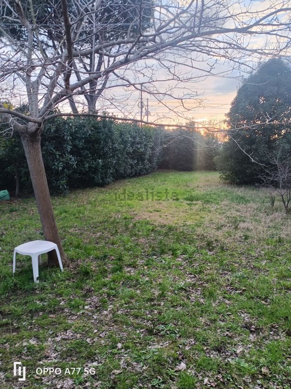 casa indipendente in vendita a Camaiore in zona Casoli