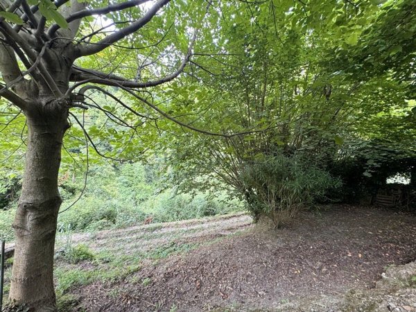 casa indipendente in vendita a Camaiore in zona Casoli