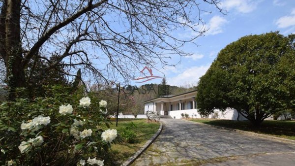 casa indipendente in vendita a Camaiore