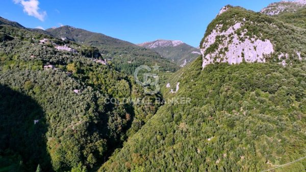 terreno agricolo in vendita a Camaiore in zona Casoli