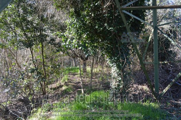 locale di sgombero in vendita a Camaiore in zona Marignana