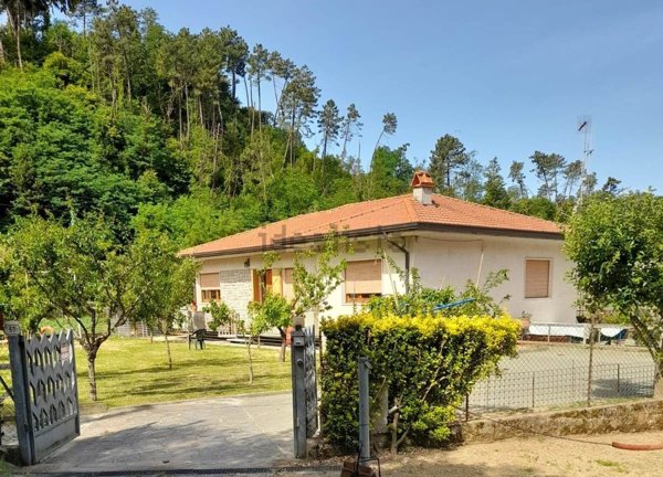 pentavano in vendita a Camaiore