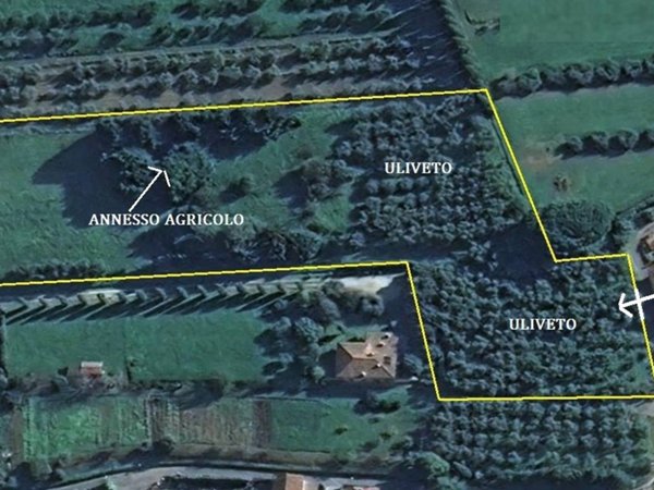 terreno agricolo in vendita a Camaiore in zona Pieve di Camaiore