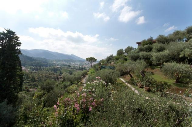 casa indipendente in vendita a Camaiore in zona Monteggiori