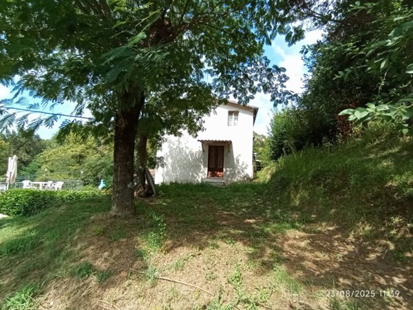 casa indipendente in vendita a Camaiore in zona Orbicciano