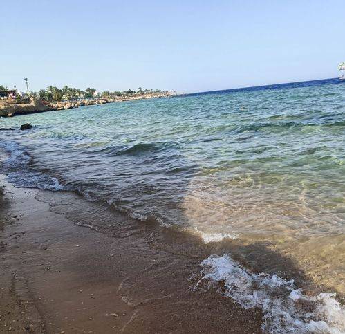 intera palazzina in vendita a Camaiore in zona Lido di Camaiore