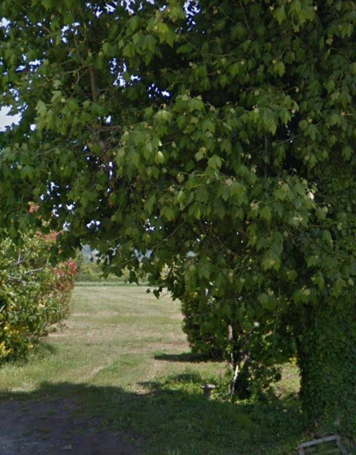 terreno agricolo in vendita a Camaiore in zona Lido di Camaiore