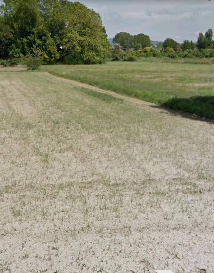 terreno agricolo in vendita a Camaiore in zona Lido di Camaiore