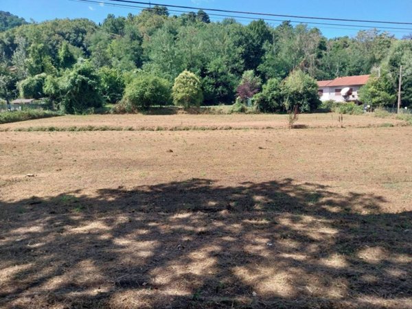 terreno agricolo in vendita a Camaiore