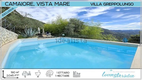 casa indipendente in vendita a Camaiore in zona Greppolungo