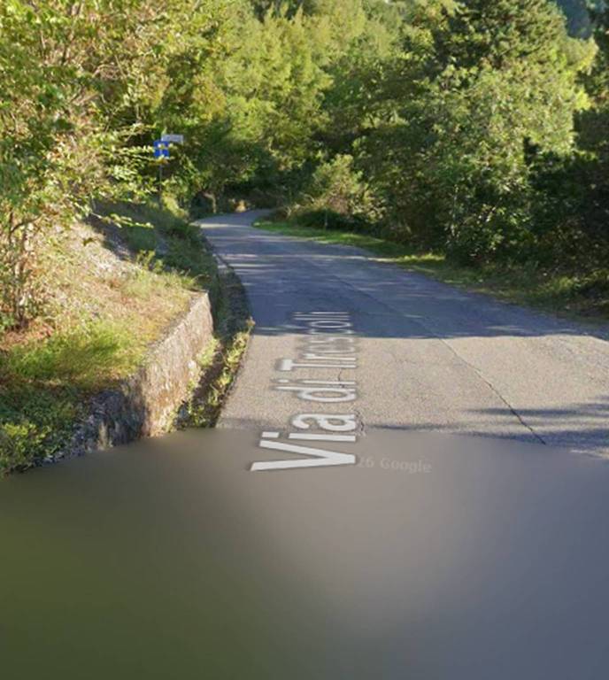terreno agricolo in vendita a Camaiore in zona Casoli