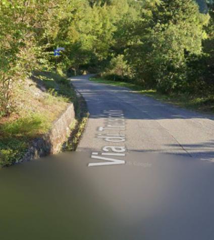 terreno agricolo in vendita a Camaiore in zona Casoli