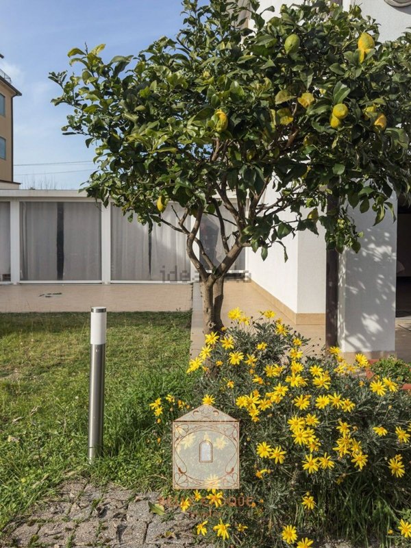 casa indipendente in vendita a Camaiore in zona Lido di Camaiore