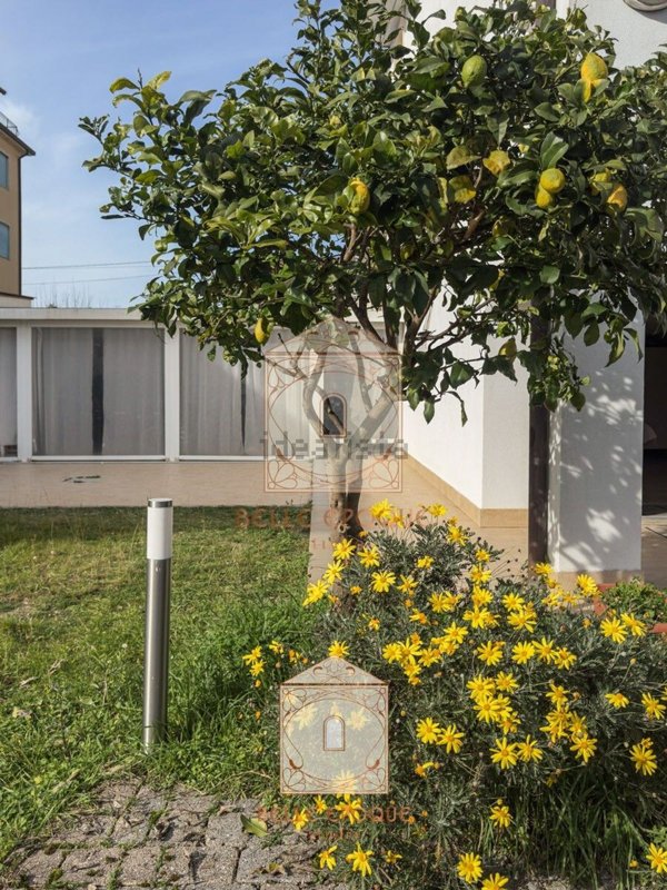 casa indipendente in vendita a Camaiore in zona Lido di Camaiore