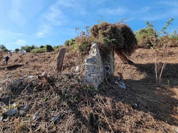 casa indipendente in vendita a Camaiore
