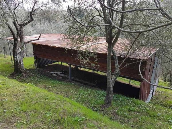 casa indipendente in vendita a Camaiore