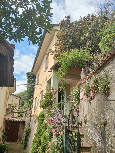 casa indipendente in vendita a Camaiore