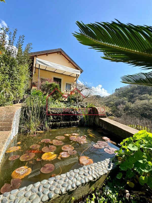 casa indipendente in vendita a Camaiore in zona Monteggiori
