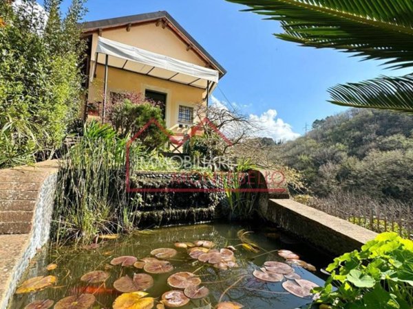 casa indipendente in vendita a Camaiore in zona Monteggiori