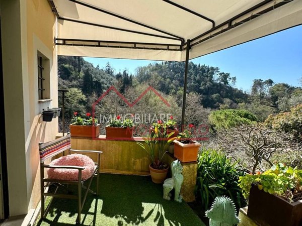 casa indipendente in vendita a Camaiore in zona Monteggiori