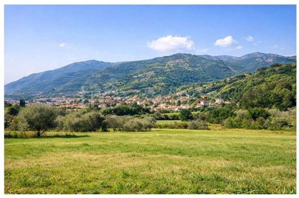 terreno agricolo in vendita a Camaiore in zona Capezzano Pianore