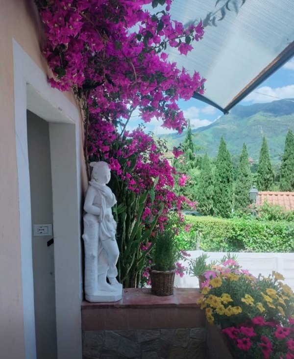 casa indipendente in vendita a Camaiore in zona Pontemazzori