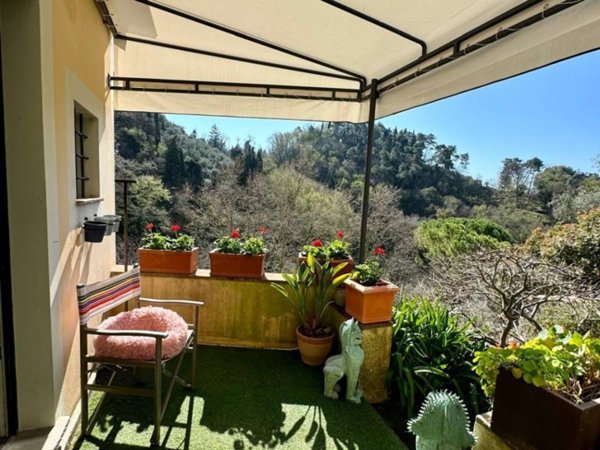 casa indipendente in vendita a Camaiore in zona Monteggiori