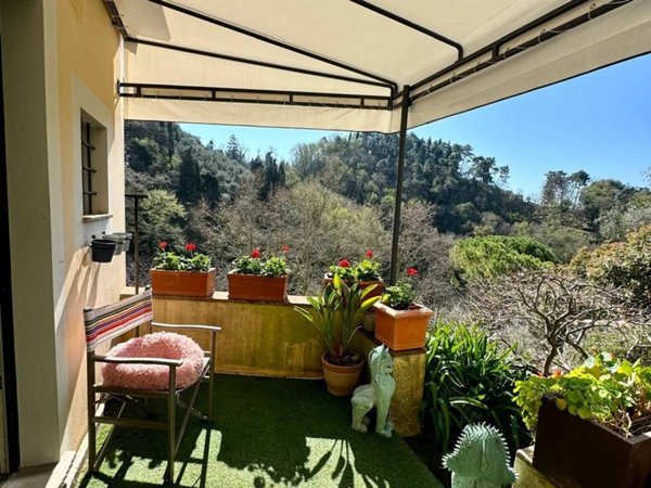 casa indipendente in vendita a Camaiore in zona Monteggiori