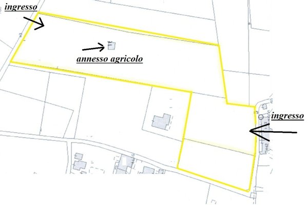 terreno agricolo in vendita a Camaiore in zona Pieve di Camaiore