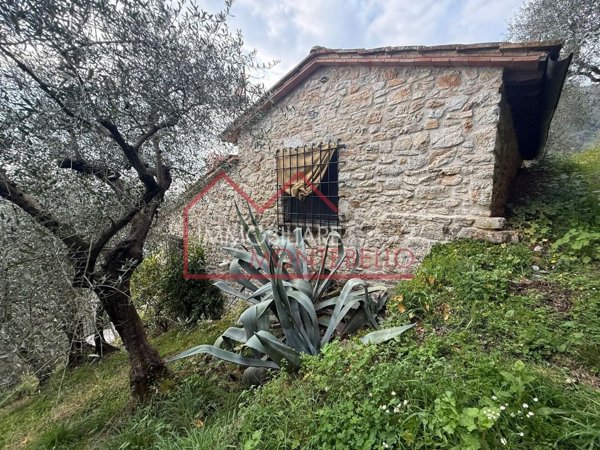 casale in vendita a Camaiore in zona Pieve di Camaiore