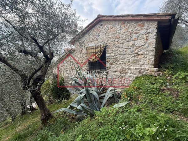 casa indipendente in vendita a Camaiore in zona Pieve di Camaiore