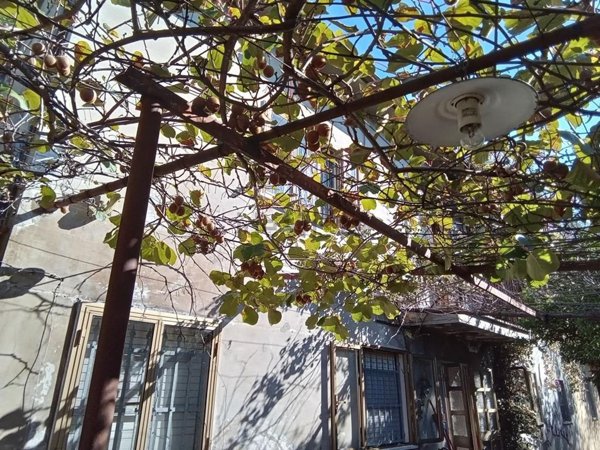 casale in vendita a Camaiore