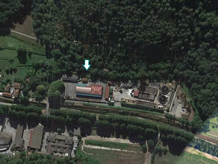 terreno agricolo in vendita a Camaiore