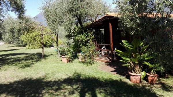 casa indipendente in vendita a Camaiore